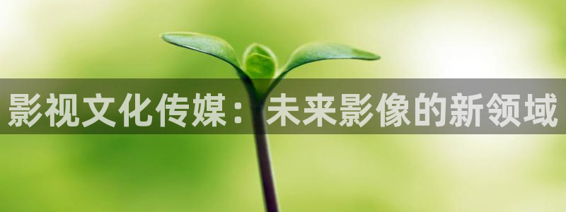 八戒韓國(guó)影視：影視文化傳媒：未來(lái)影像的新領(lǐng)域